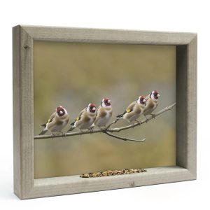 Vogelvoederlijst – 5 puttertjes op tak M