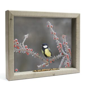 Vogelvoederlijst – Koolmees in de winter M