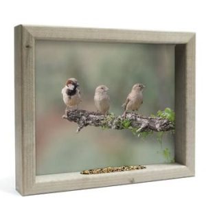 Vogelvoederlijst – 3 mussen op tak M