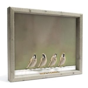 Vogelvoederlijst – Mussenfamilie L