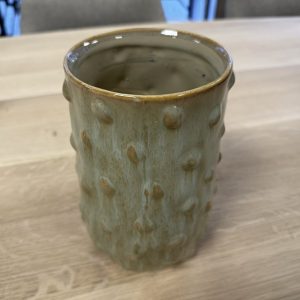 Groene cactusvaas hoog model
