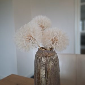 Dandelion decoratieve paardenbloem