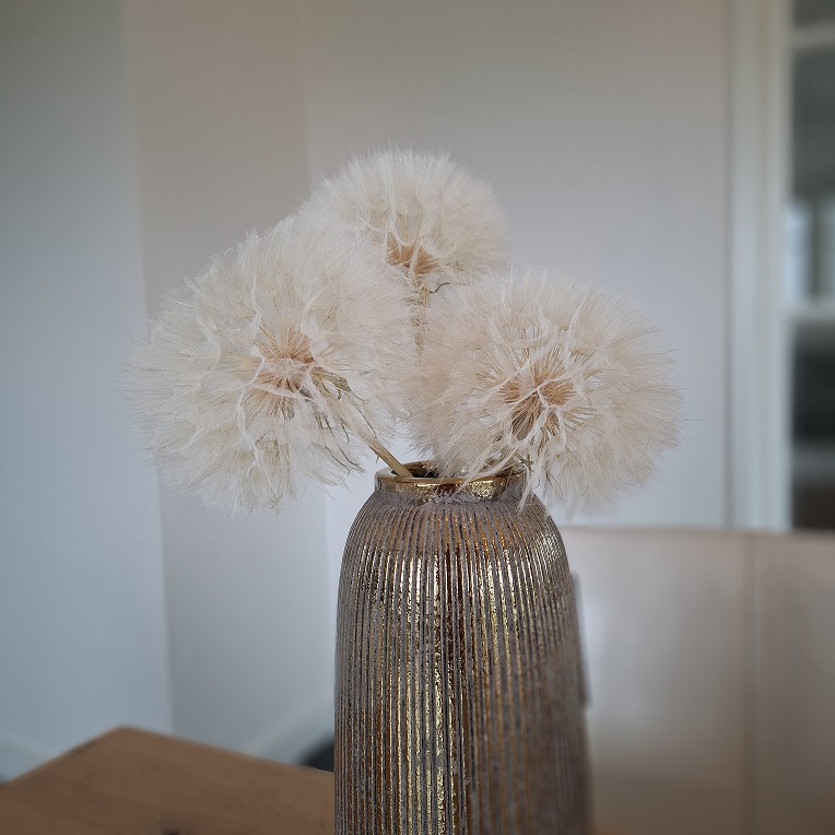 Dandelion decoratieve paardenbloem - Afbeelding 2