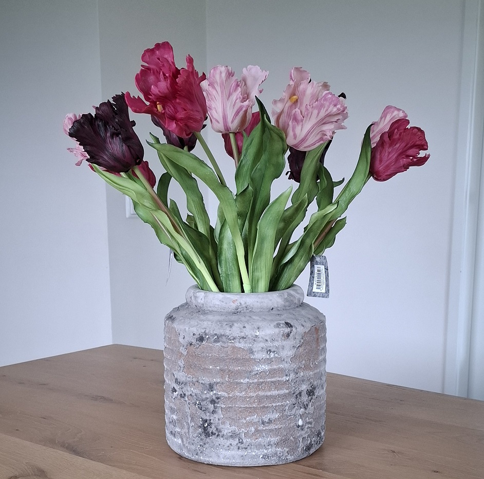 Kunst papegaaitulpen aubergine mix - Afbeelding 4